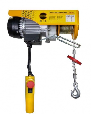 PA-250 г/п 125/250кг трос 12м 220в