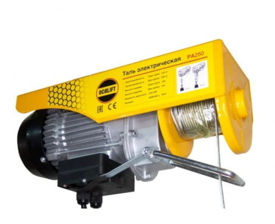 PA-250 г/п 125/250кг трос 12м 220в