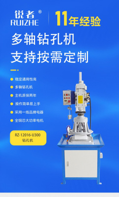 RZ-12016