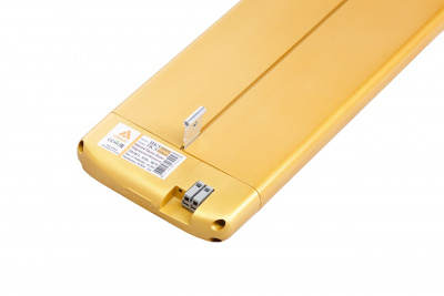 ИК-8 (800Вт) золотой